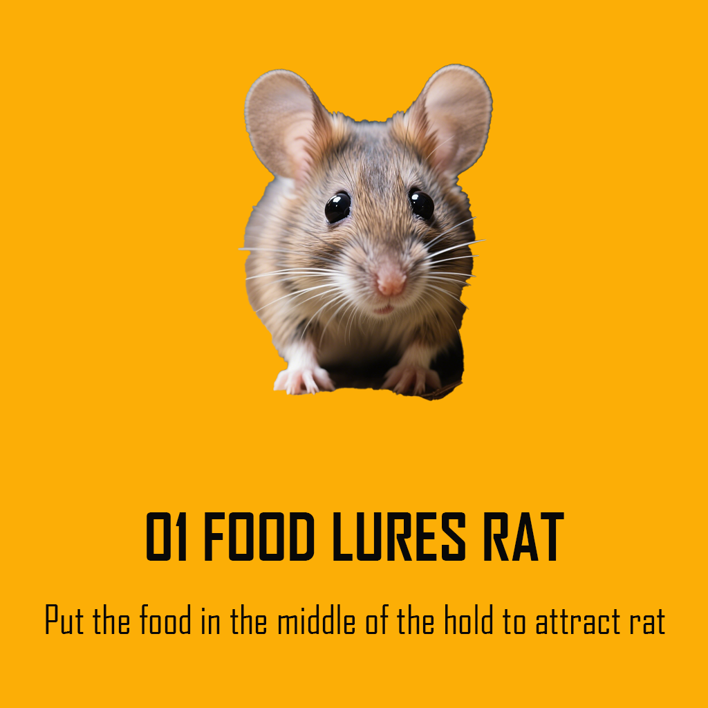 food lures rat