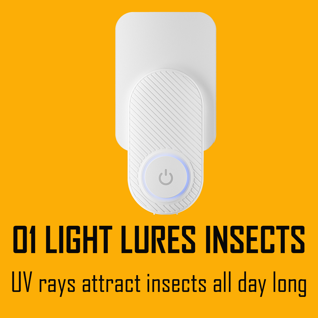 indoor light lurs insects