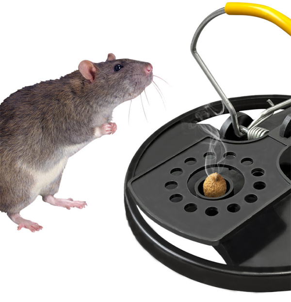 Mouse Trap - Image 2