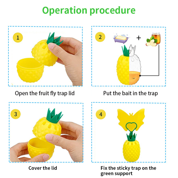 Fruit Fly Sticky Trap - Image 4