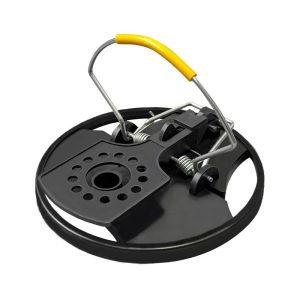 Mouse Trap