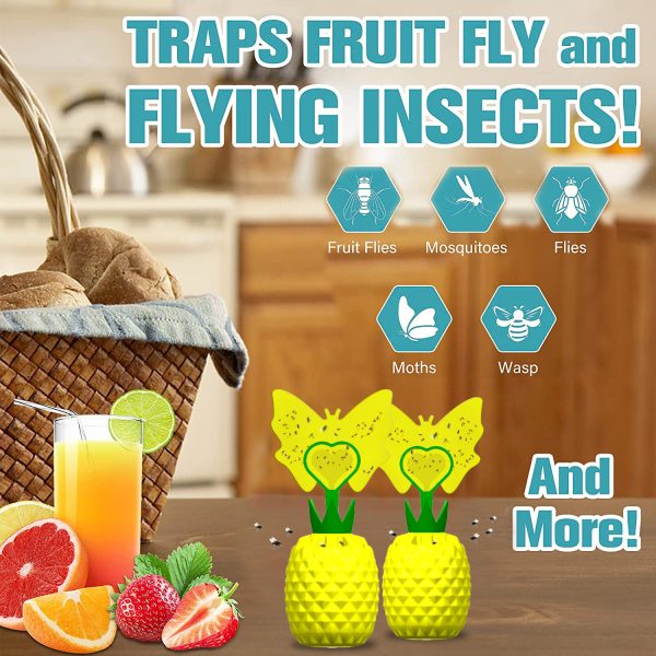 Fruit Fly Sticky Trap - Image 5