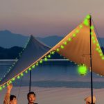 Outdoor Anti-Mosquito Light